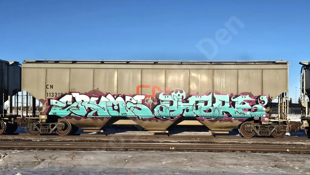 CN113218 - NORTH-AMERICA