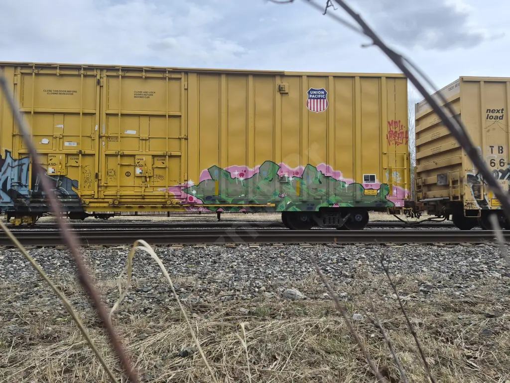 UP700361 - NORTH-AMERICA