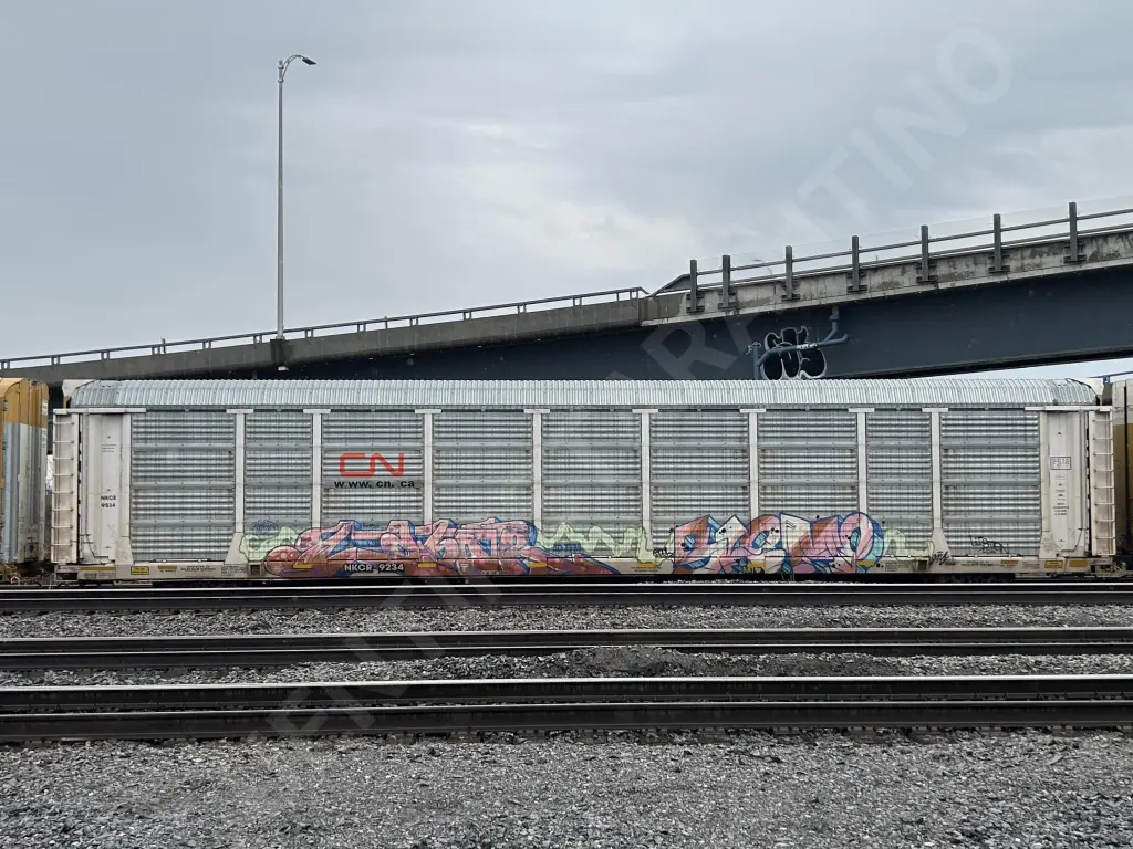 NKCR9234 - NORTH-AMERICA