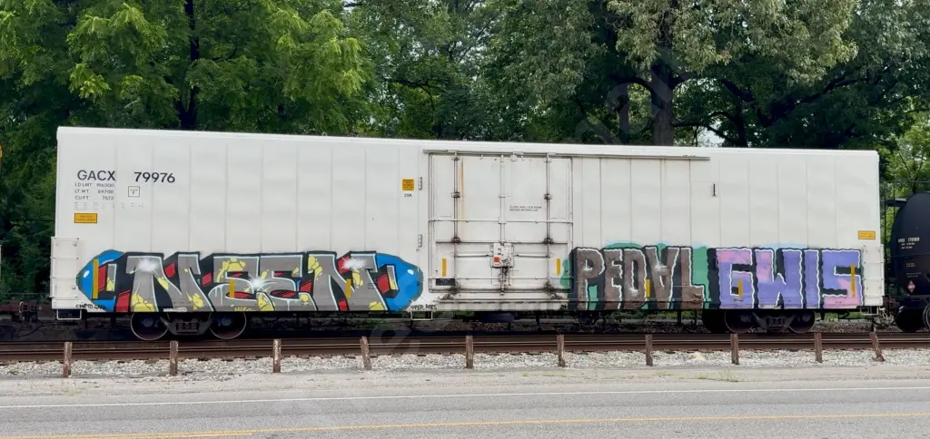GACX79976 - NORTH-AMERICA