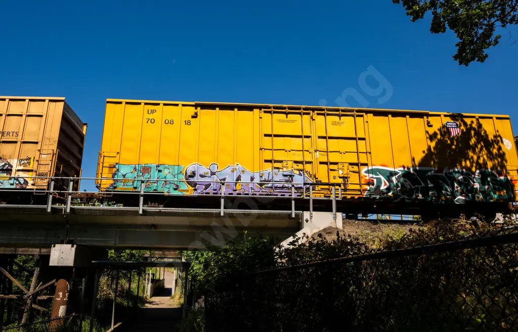 UP700818 - NORTH-AMERICA