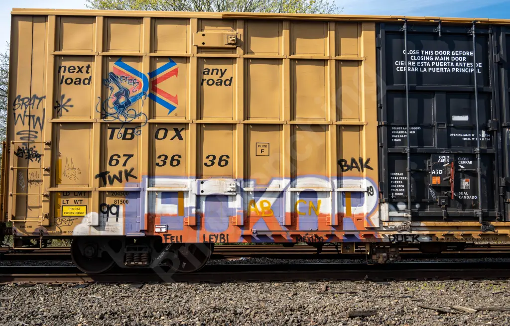 TBOX673636 - NORTH-AMERICA