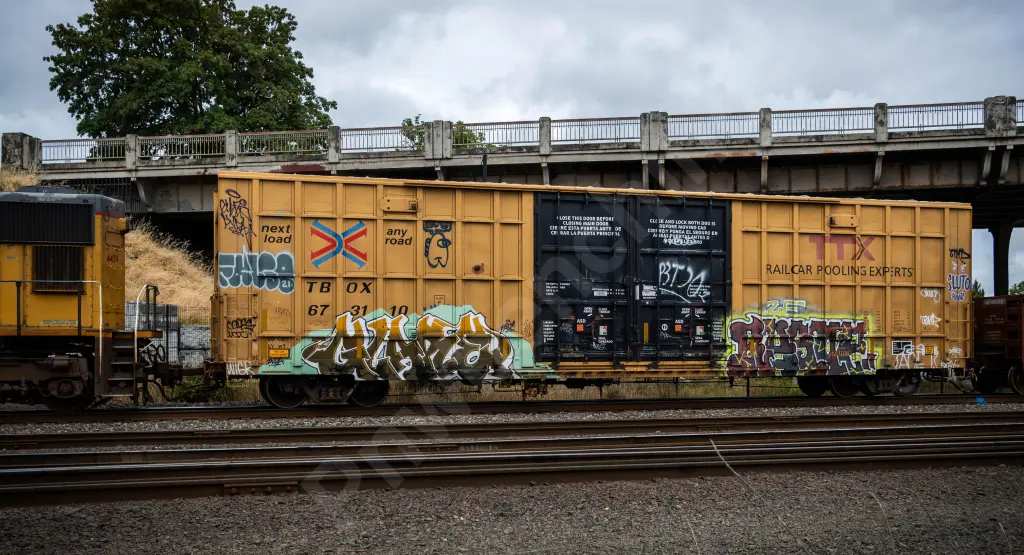 TBOX673110 - NORTH-AMERICA