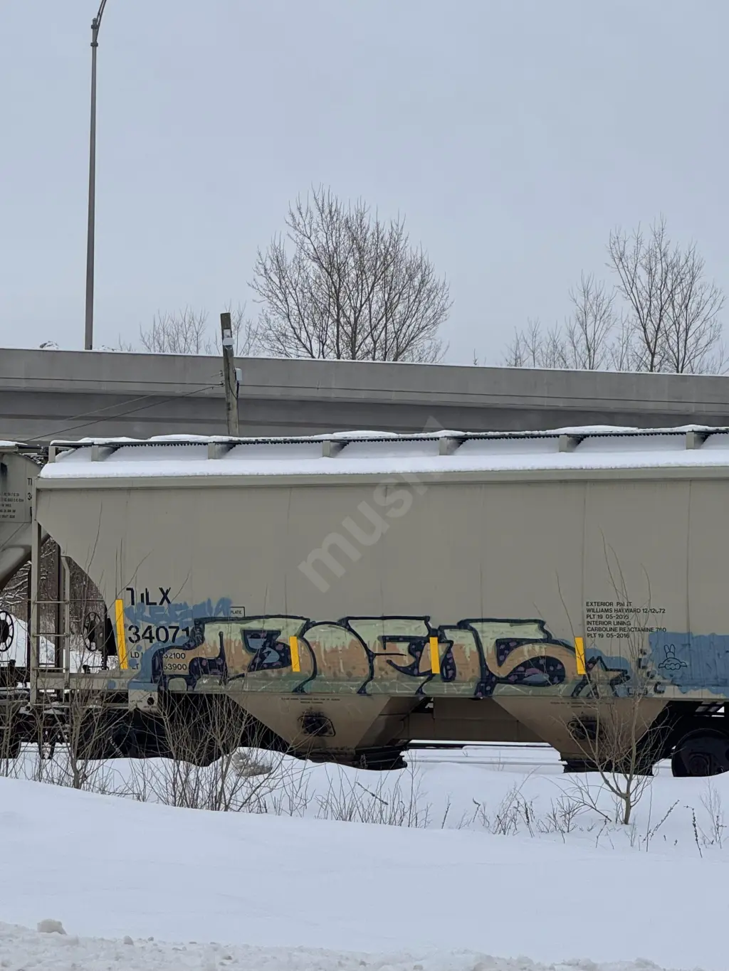 TILX340716 - NORTH-AMERICA