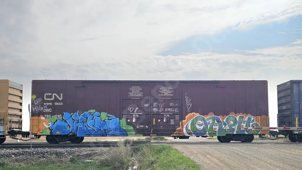 DWC795010 - NORTH-AMERICA