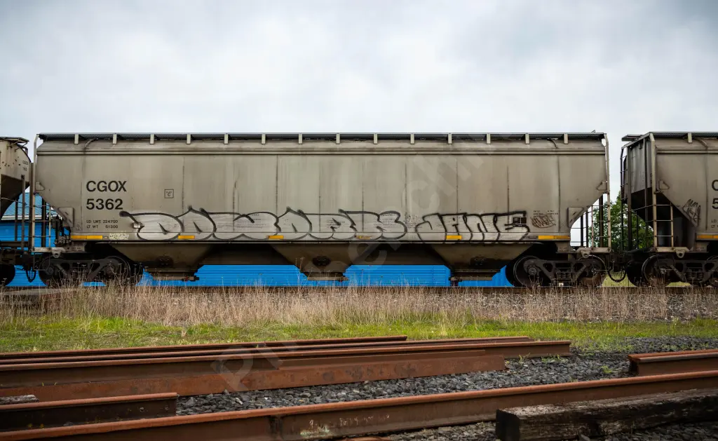 CGOX5362 - NORTH-AMERICA