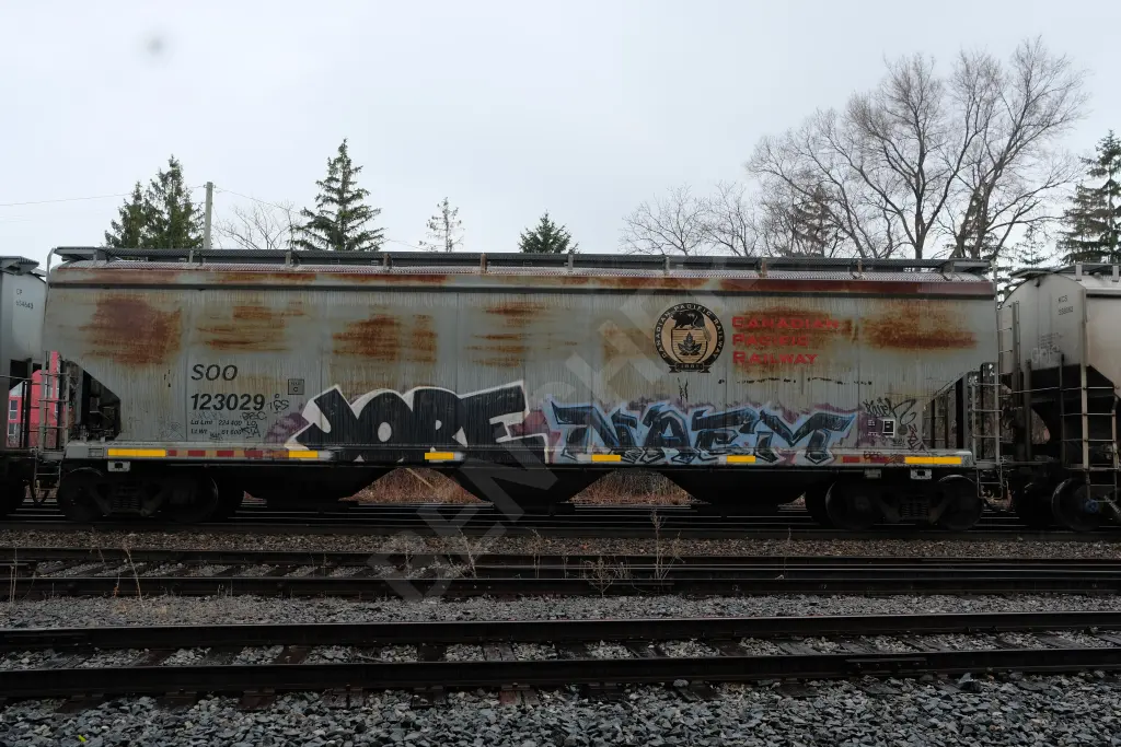 SOO123029 - NORTH-AMERICA