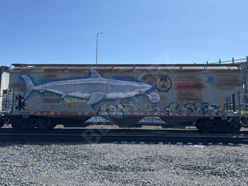 SOO120319 - NORTH-AMERICA