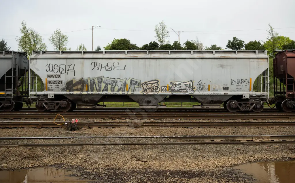 MWCX482321 - NORTH-AMERICA