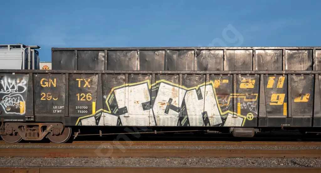 GNTX296126 - NORTH-AMERICA