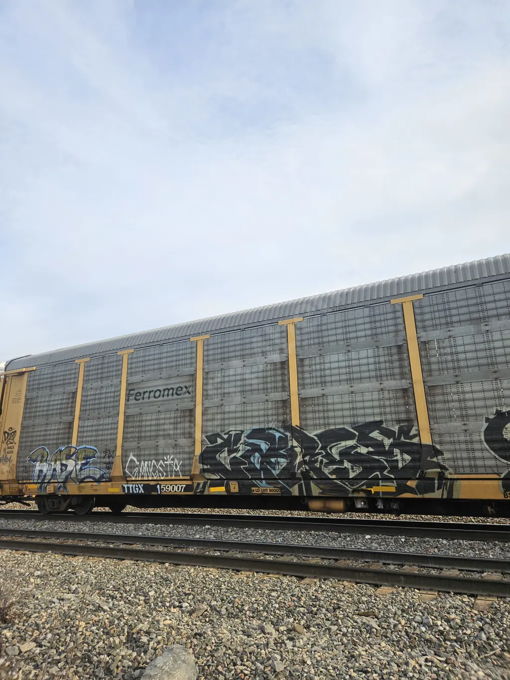 TTGX159007 - NORTH-AMERICA