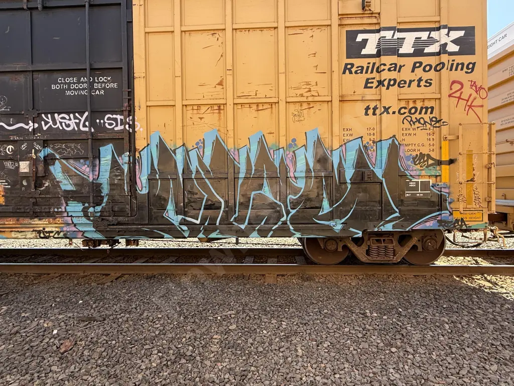 FBOX505064 - NORTH-AMERICA