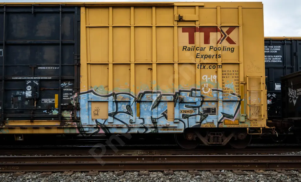 FBOX502295 - NORTH-AMERICA