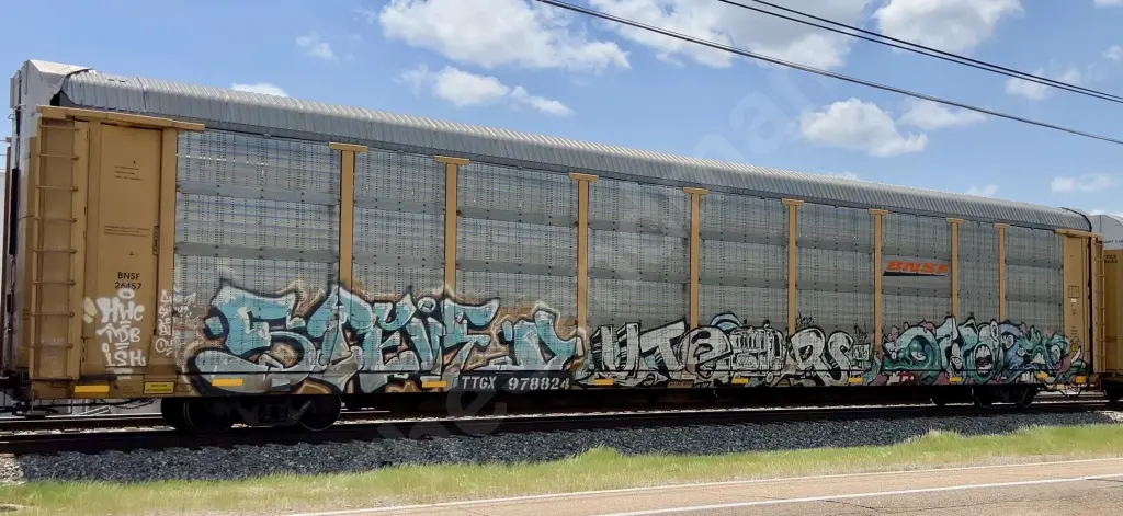 Train photo