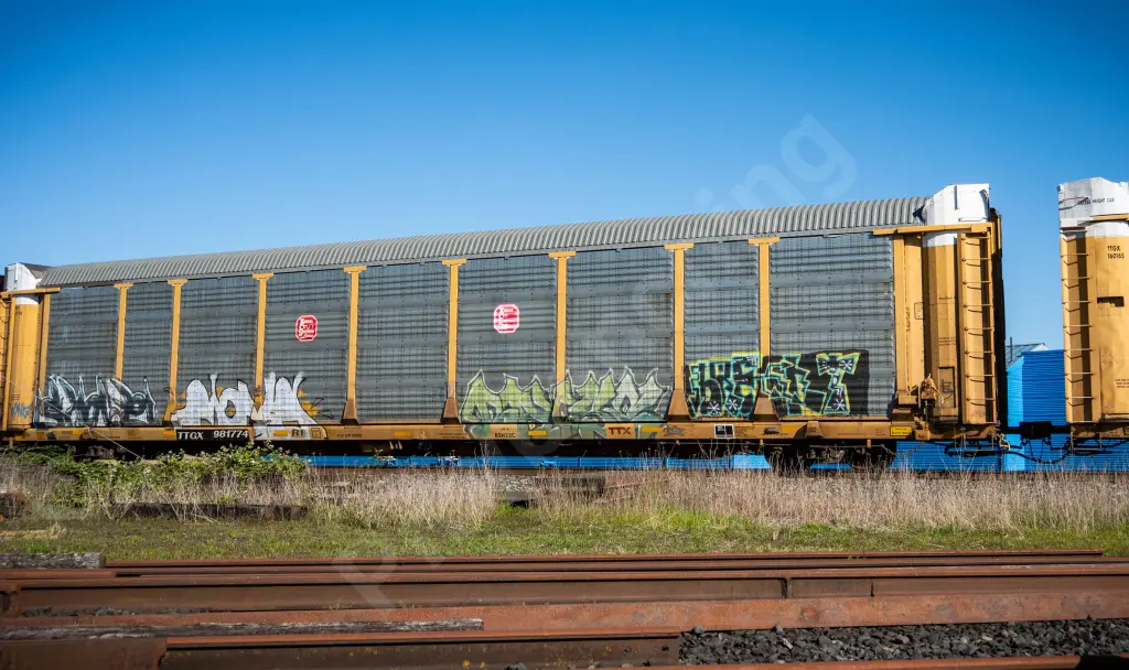 TTGX981774 - NORTH-AMERICA