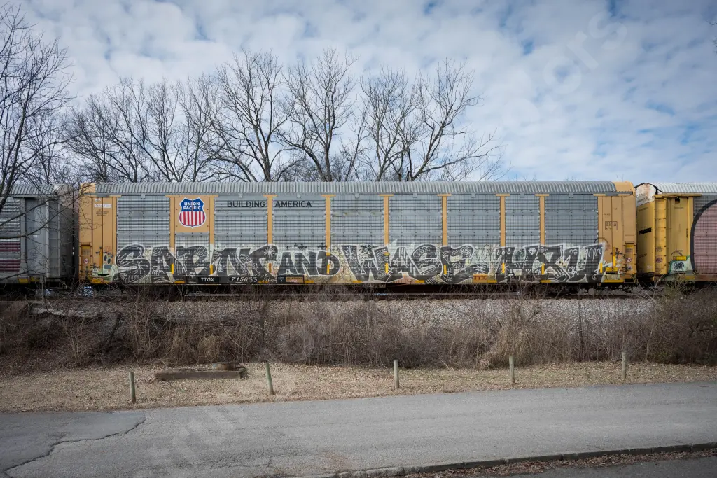TTGX715033 - NORTH-AMERICA