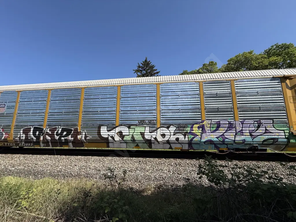 TTGX853893 - NORTH-AMERICA