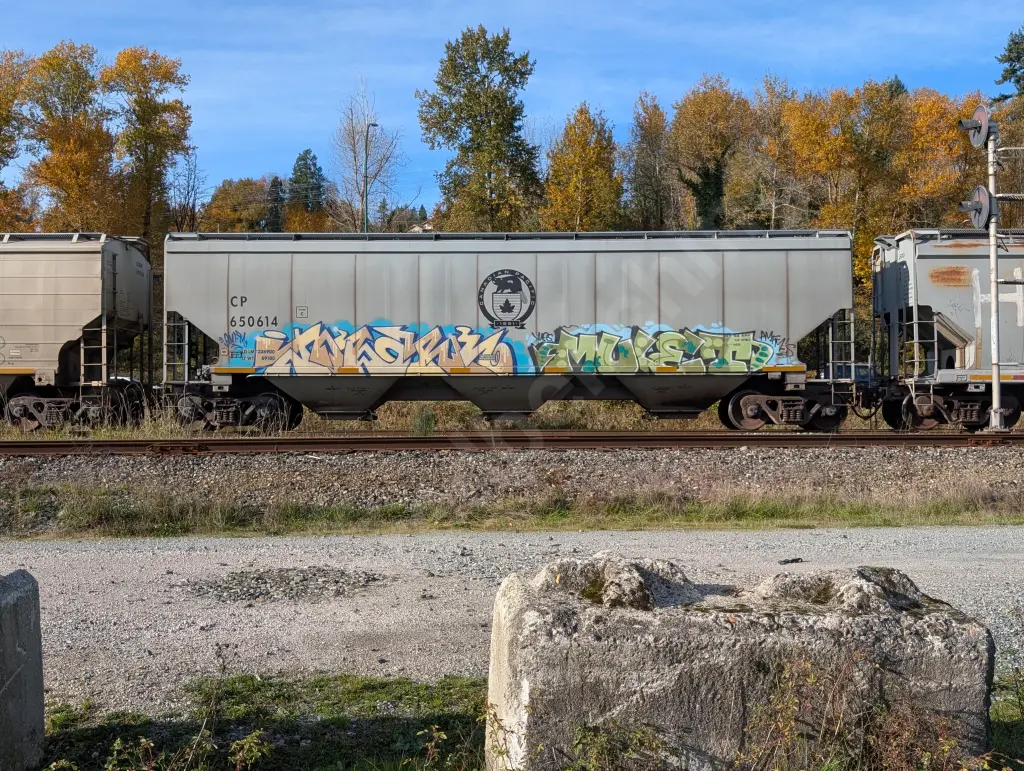 CP650614 - NORTH-AMERICA
