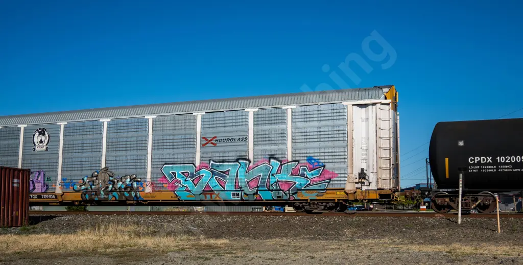 TTGX709105 - NORTH-AMERICA