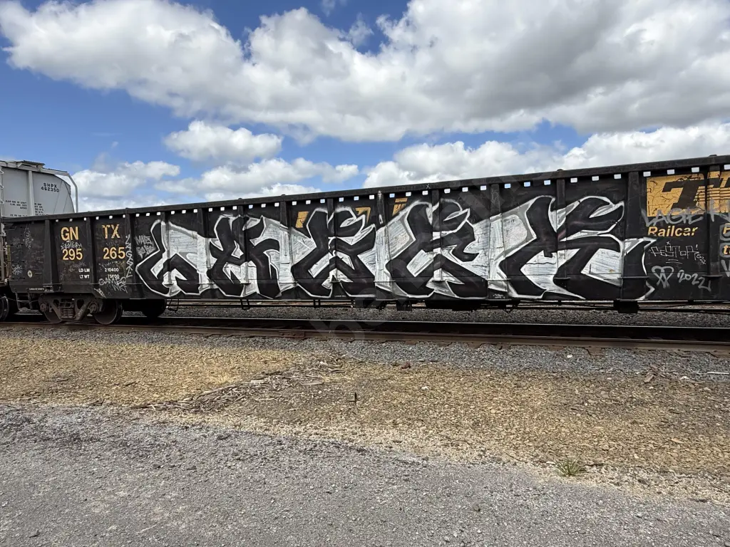 GNTX295265 - NORTH-AMERICA