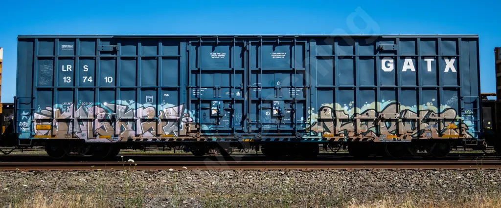 LRS137410 - NORTH-AMERICA