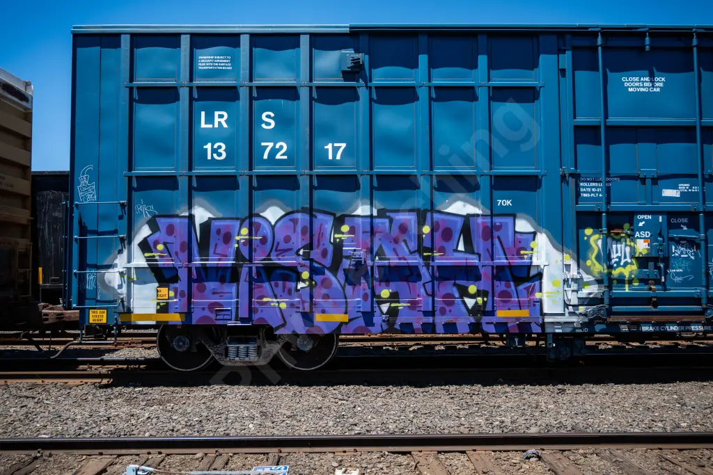 LRS137217 - NORTH-AMERICA