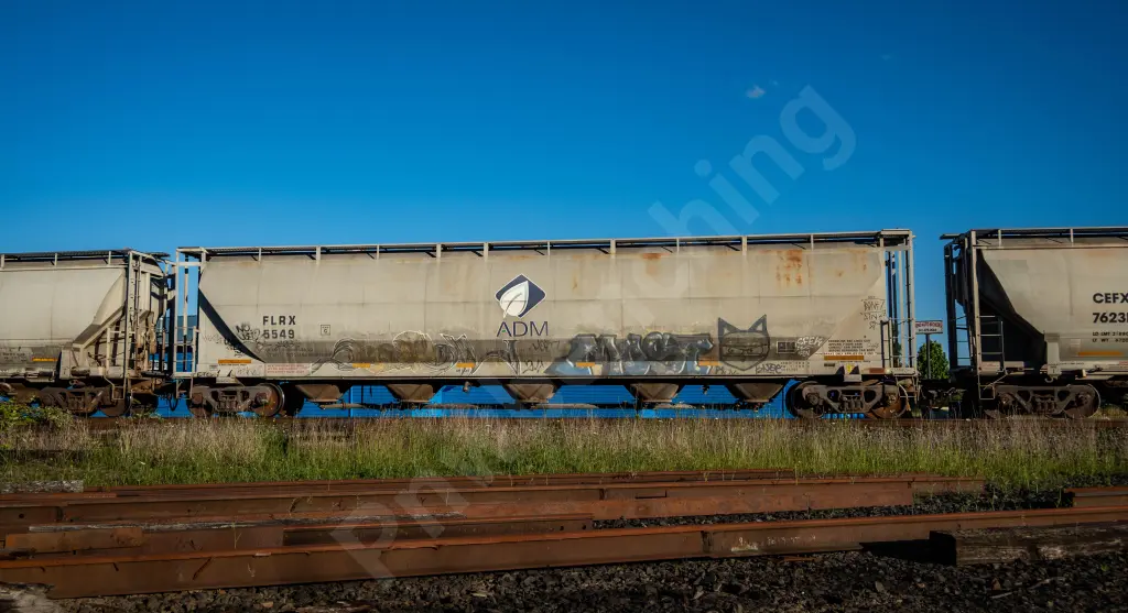 FLRX5549 - NORTH-AMERICA