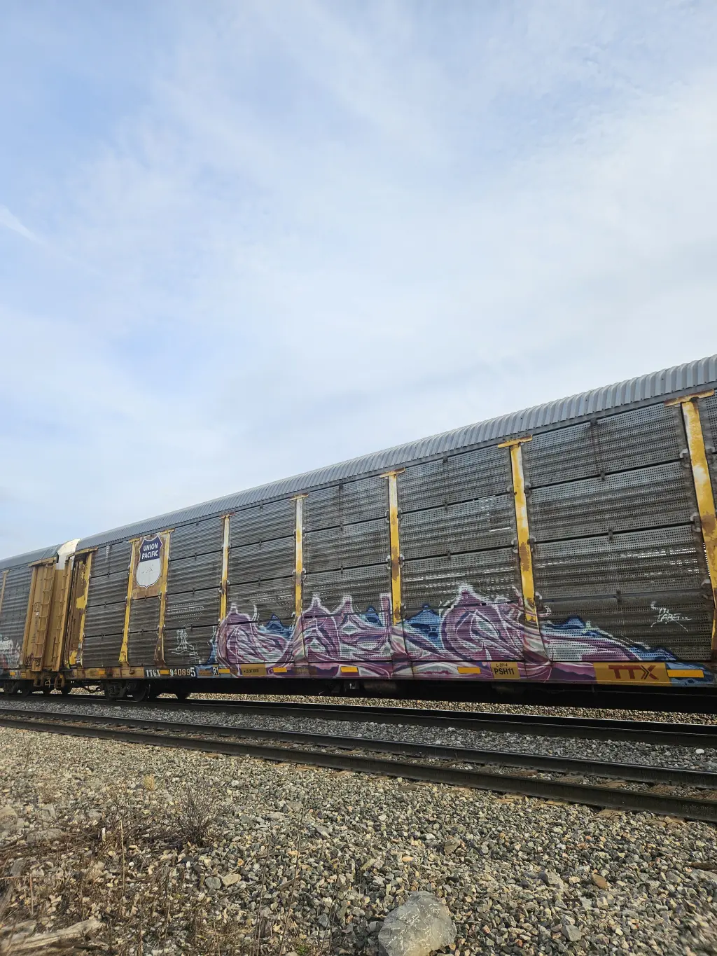TTGX940895 - NORTH-AMERICA