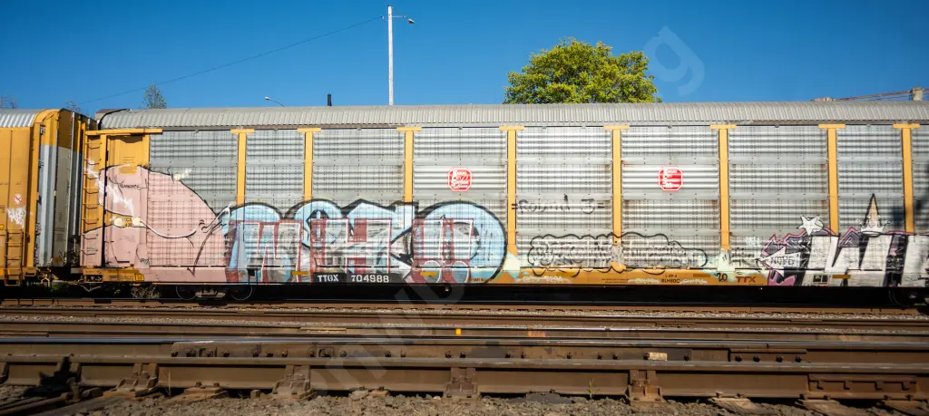 TTGX704988 - NORTH-AMERICA