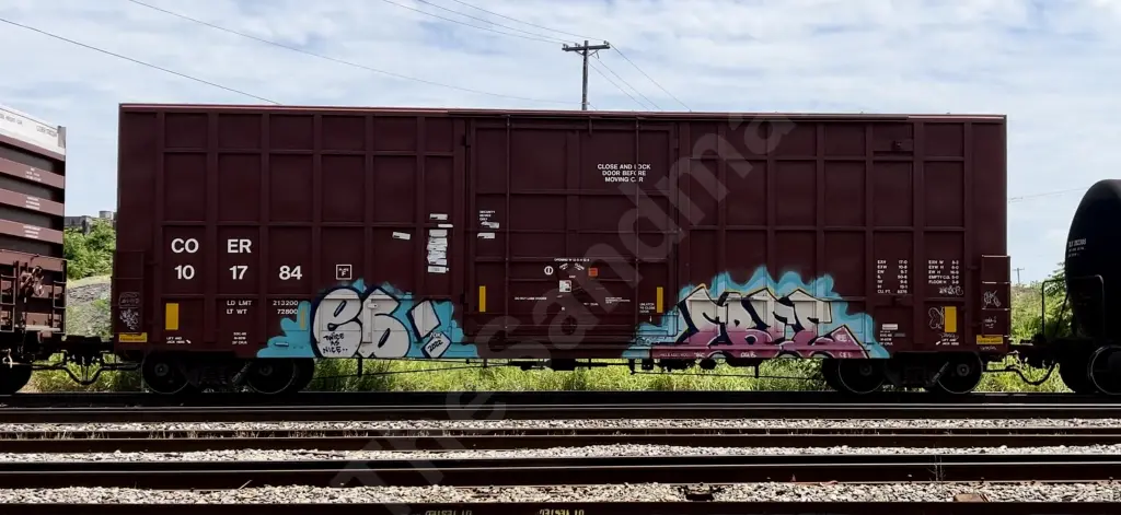 COER101784 - NORTH-AMERICA