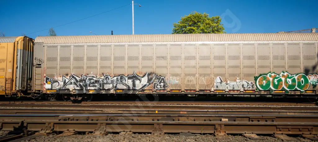 CP546274 - NORTH-AMERICA
