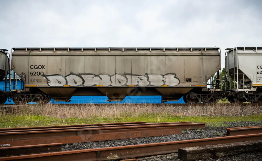 CGOX5200 - NORTH-AMERICA