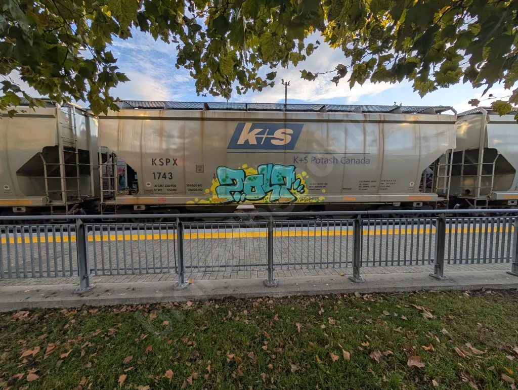 KSPX1743 - NORTH-AMERICA