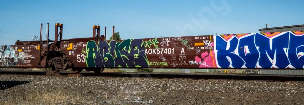 AOK57401 - NORTH-AMERICA