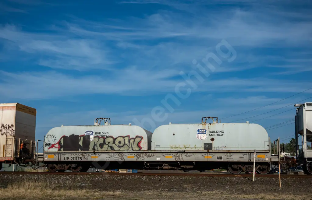 UP211175 - NORTH-AMERICA