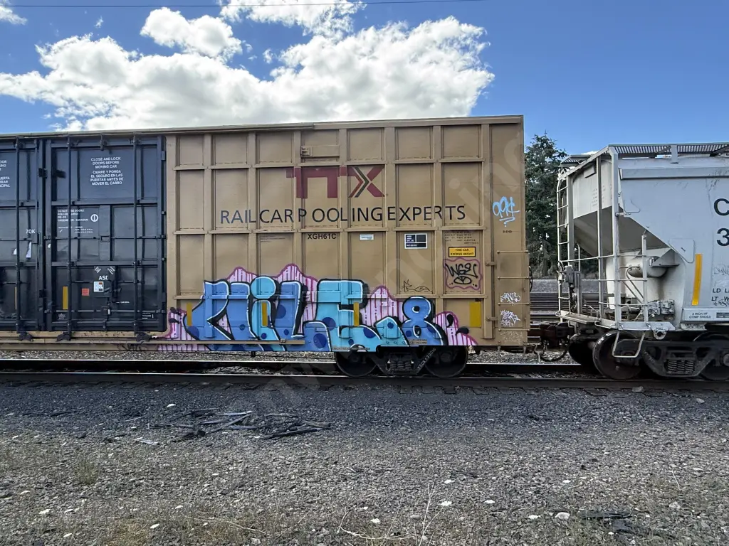 TBOX633015 - NORTH-AMERICA