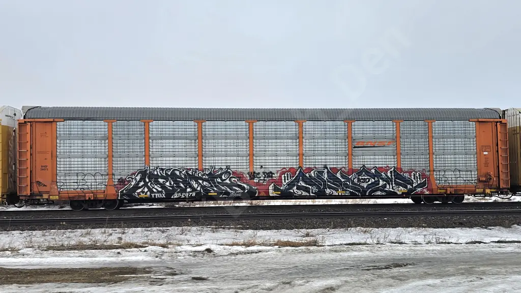 TTGX952978 - NORTH-AMERICA