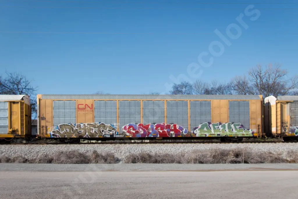 TTGX696962 - NORTH-AMERICA