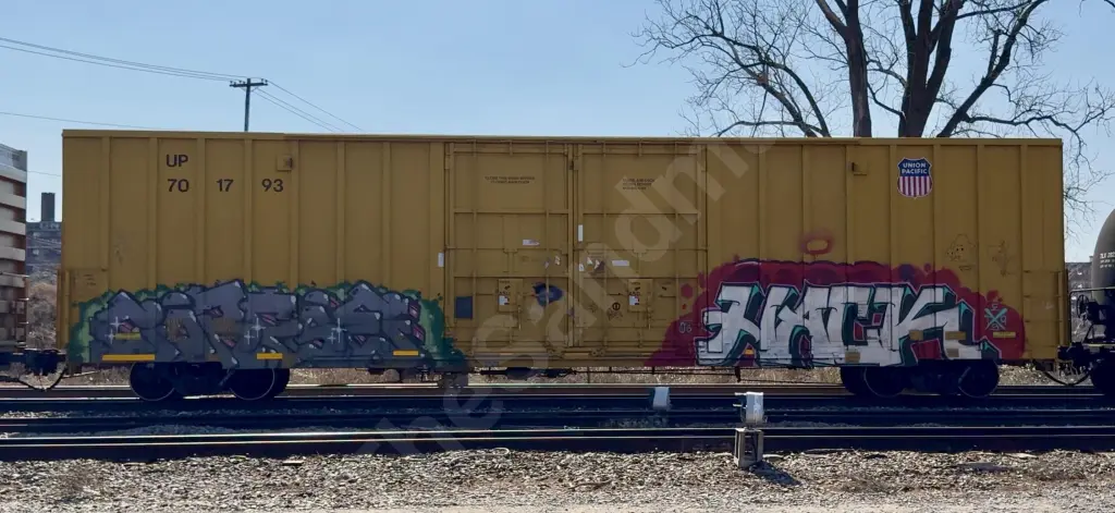 UP701793 - NORTH-AMERICA