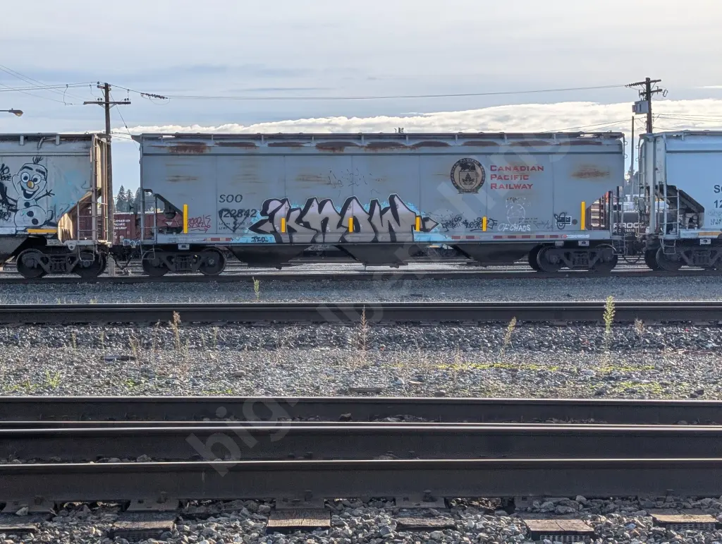 SOO122842 - NORTH-AMERICA