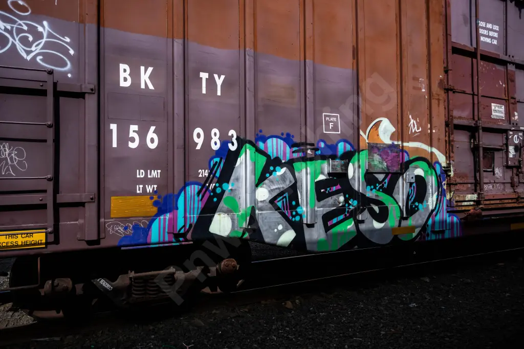 BKTY156983 - NORTH-AMERICA