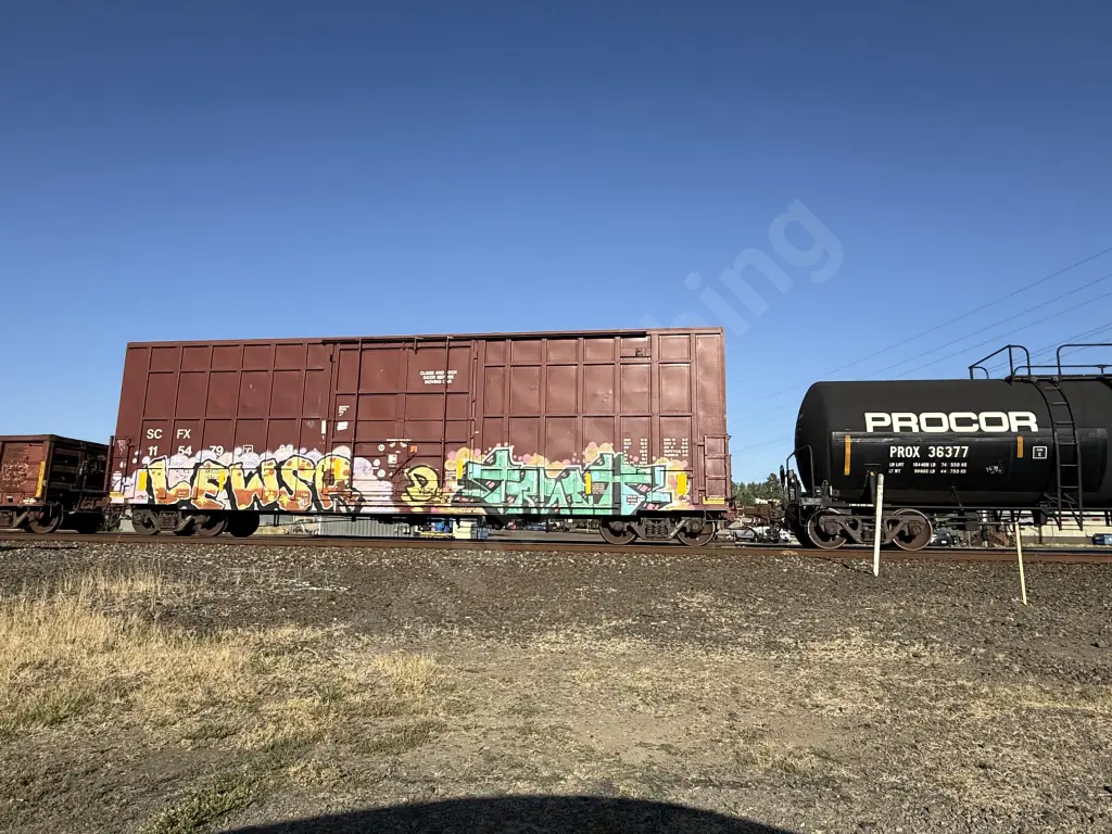 SCFX115479 - NORTH-AMERICA