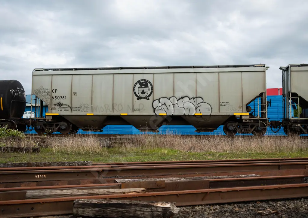 CP650761 - NORTH-AMERICA