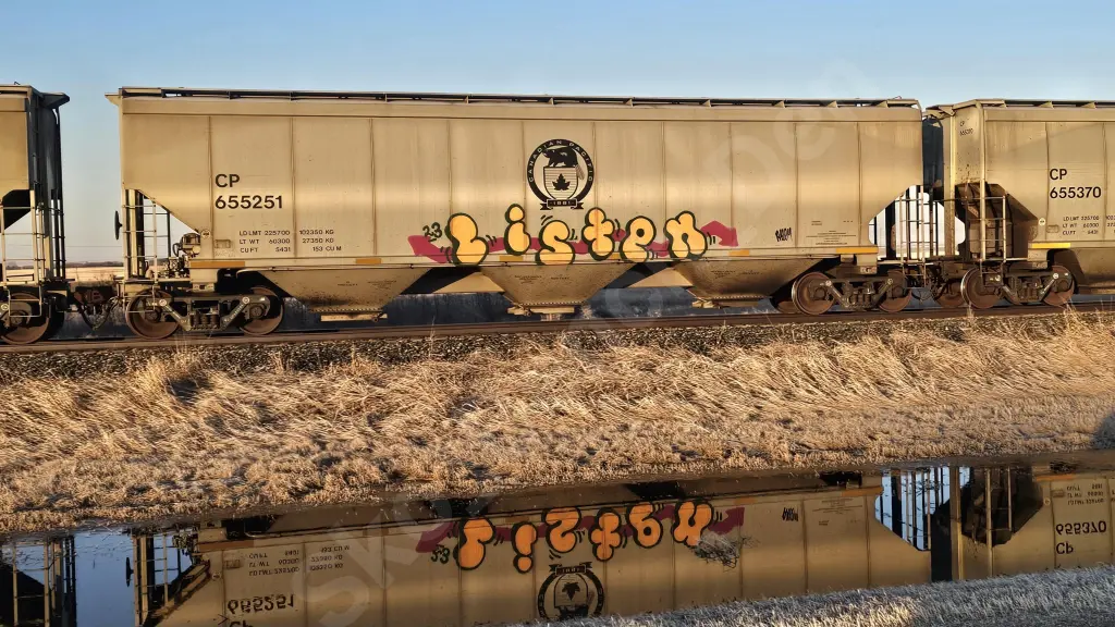 CP655251 - NORTH-AMERICA