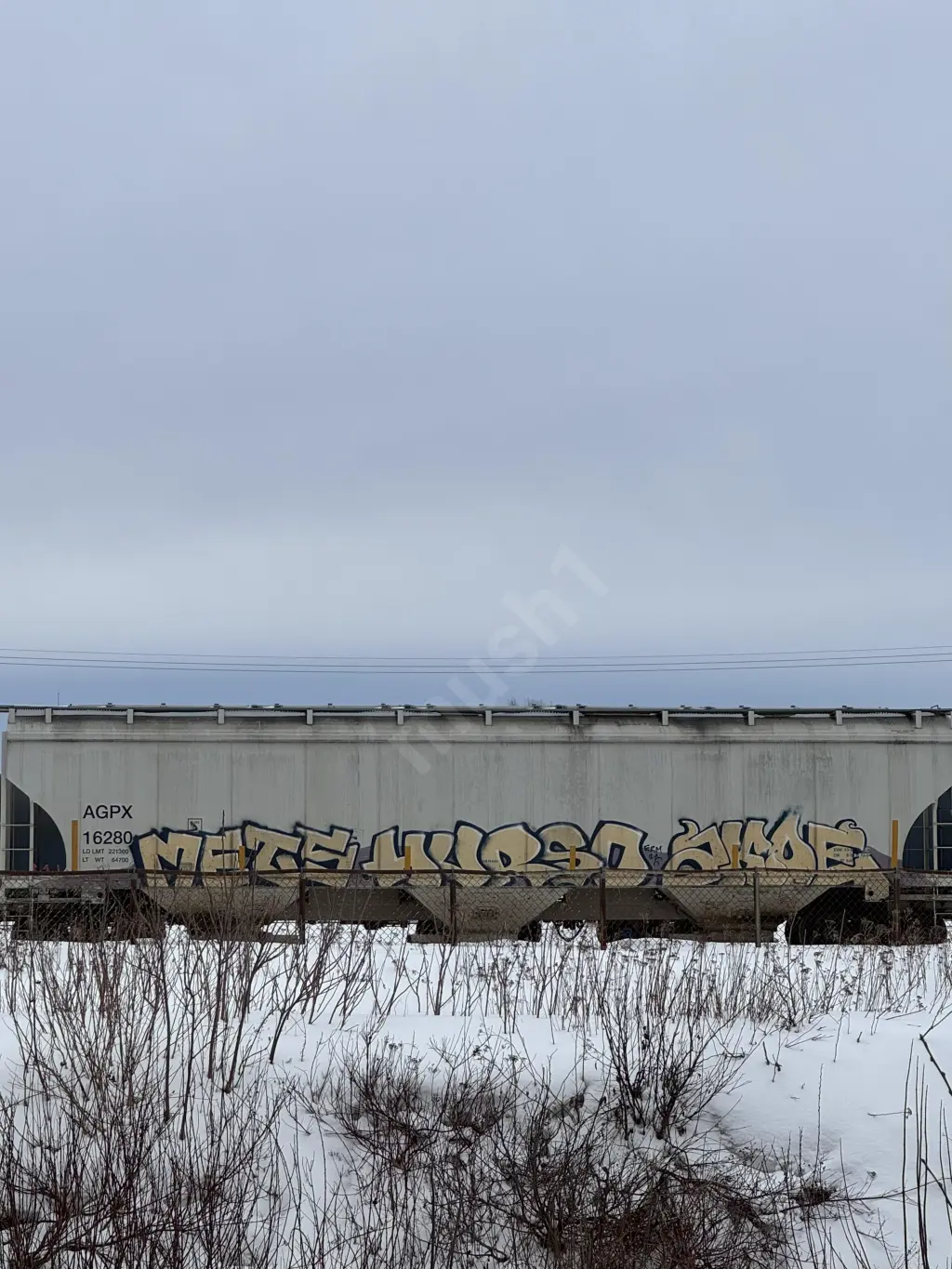 AGPX16280 - NORTH-AMERICA