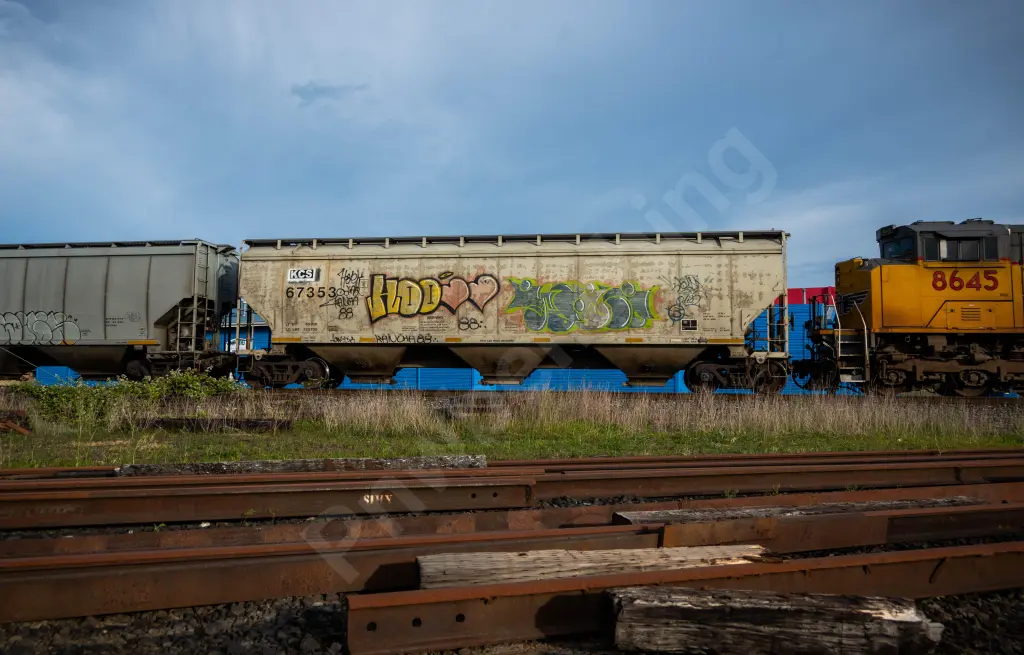KCS67353 - NORTH-AMERICA