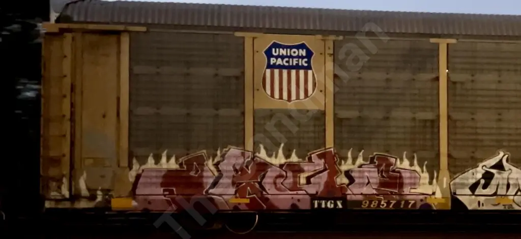 TTGX985717 - NORTH-AMERICA