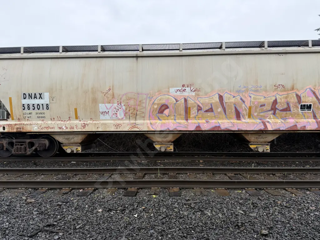 DNAX585018 - NORTH-AMERICA
