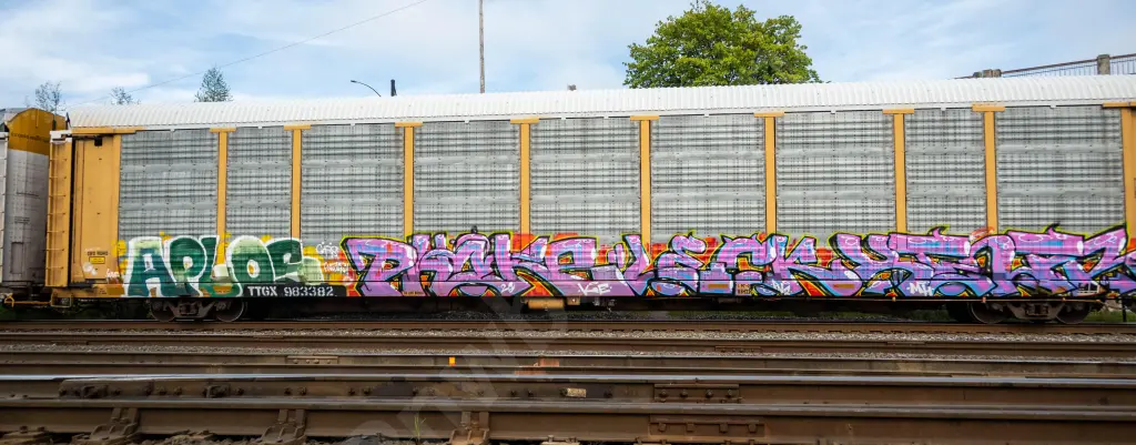 TTGX983382 - NORTH-AMERICA
