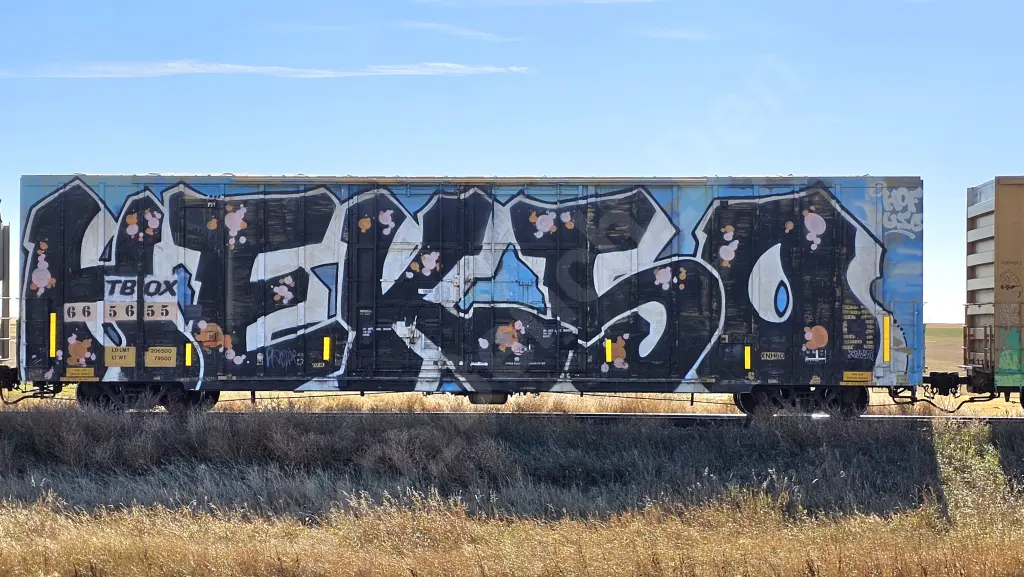 TBOX665655 - NORTH-AMERICA